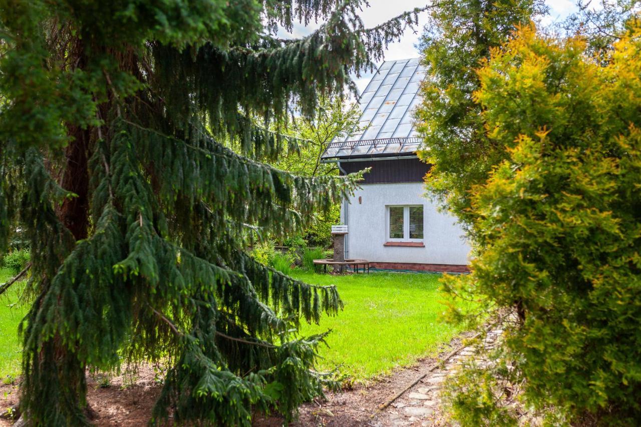 Całoroczny Dom Wakacyjny MAGNOLIA Miłków-Karpacz Milków Exterior foto